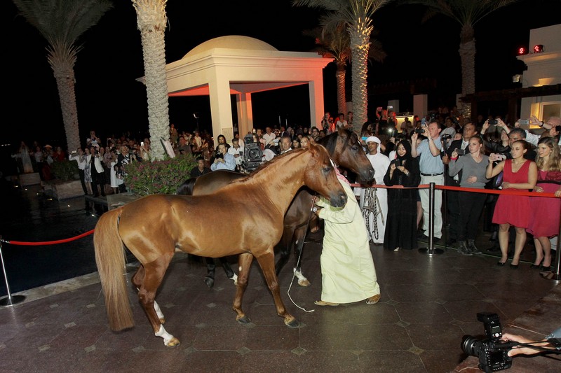 Salsa Night at Eastern Mangroves Hotel and Spa by Anantara